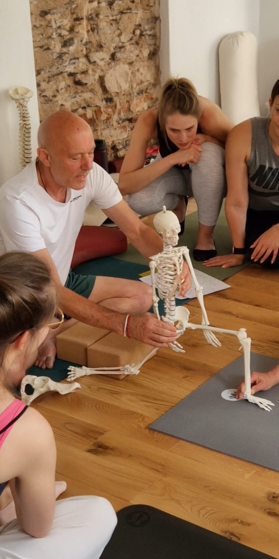 zertifizierte Yogatherapie Ausbildung mit Anatomie